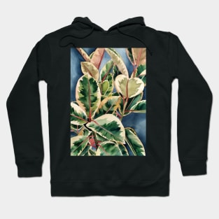 Ficus Plant 1 Hoodie